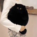 30cm Cute Chubby Cat Plush Toy White Black Pet Cat Doll