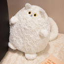 30cm Cute Chubby Cat Plush Toy White Black Pet Cat Doll